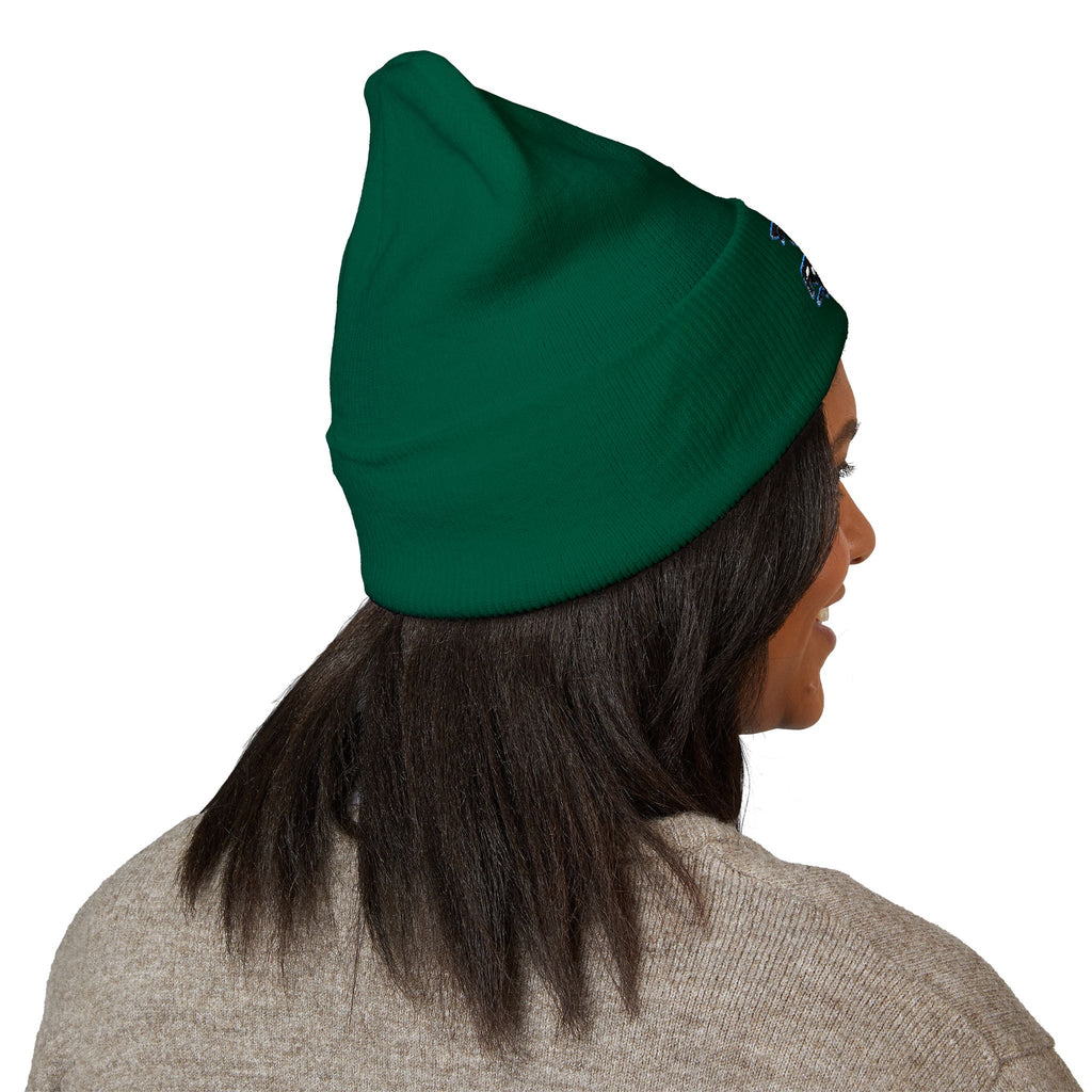 Foilface Santa Cruz-Beanie